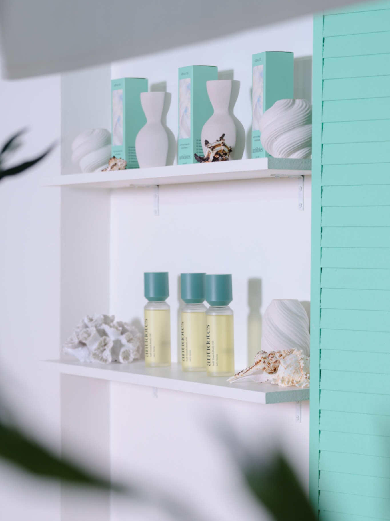 ฟาง - ธนันต์ธรญ์ นีระสิงห์