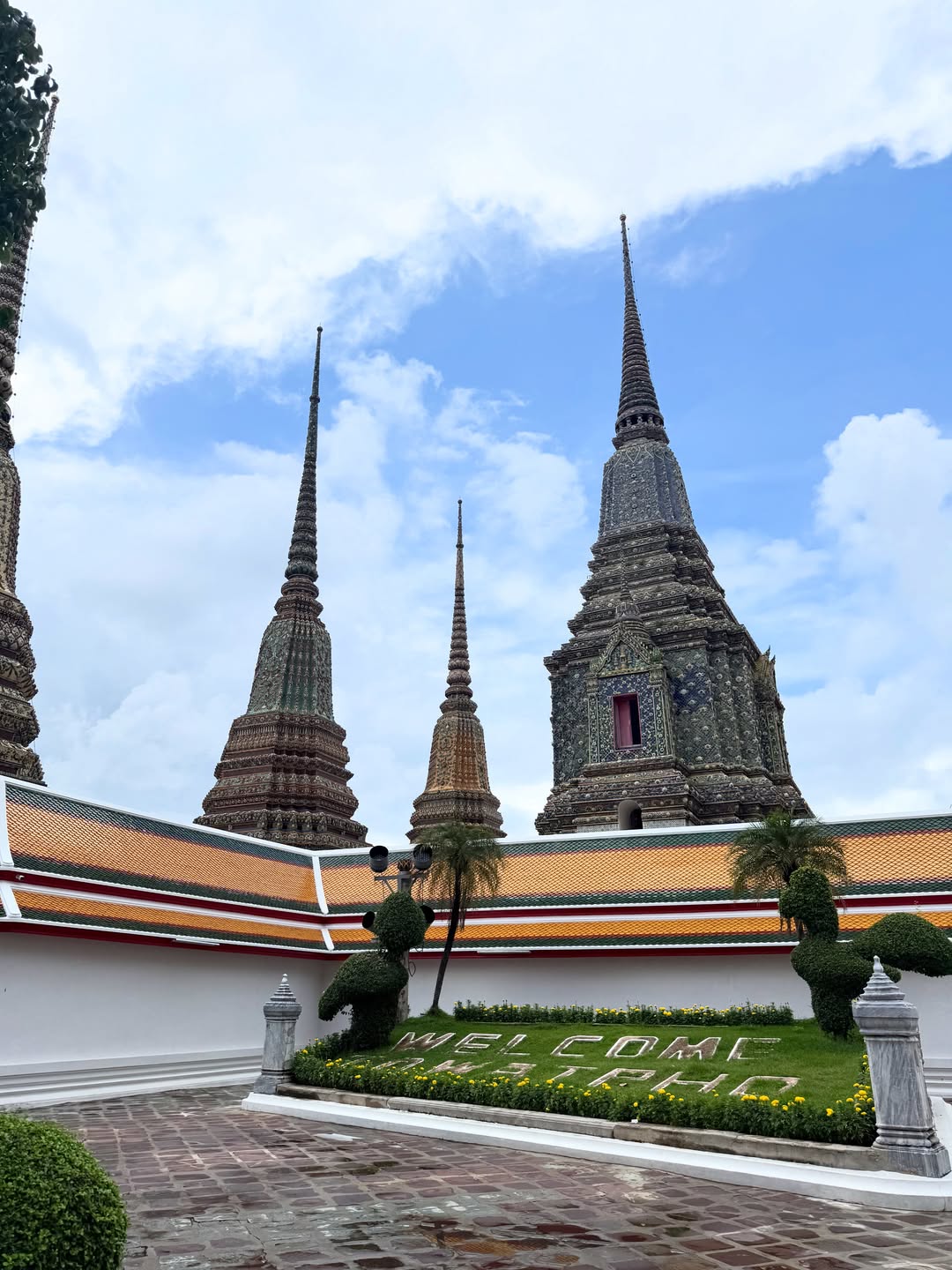 ฟาง - ธนันต์ธรญ์ นีระสิงห์