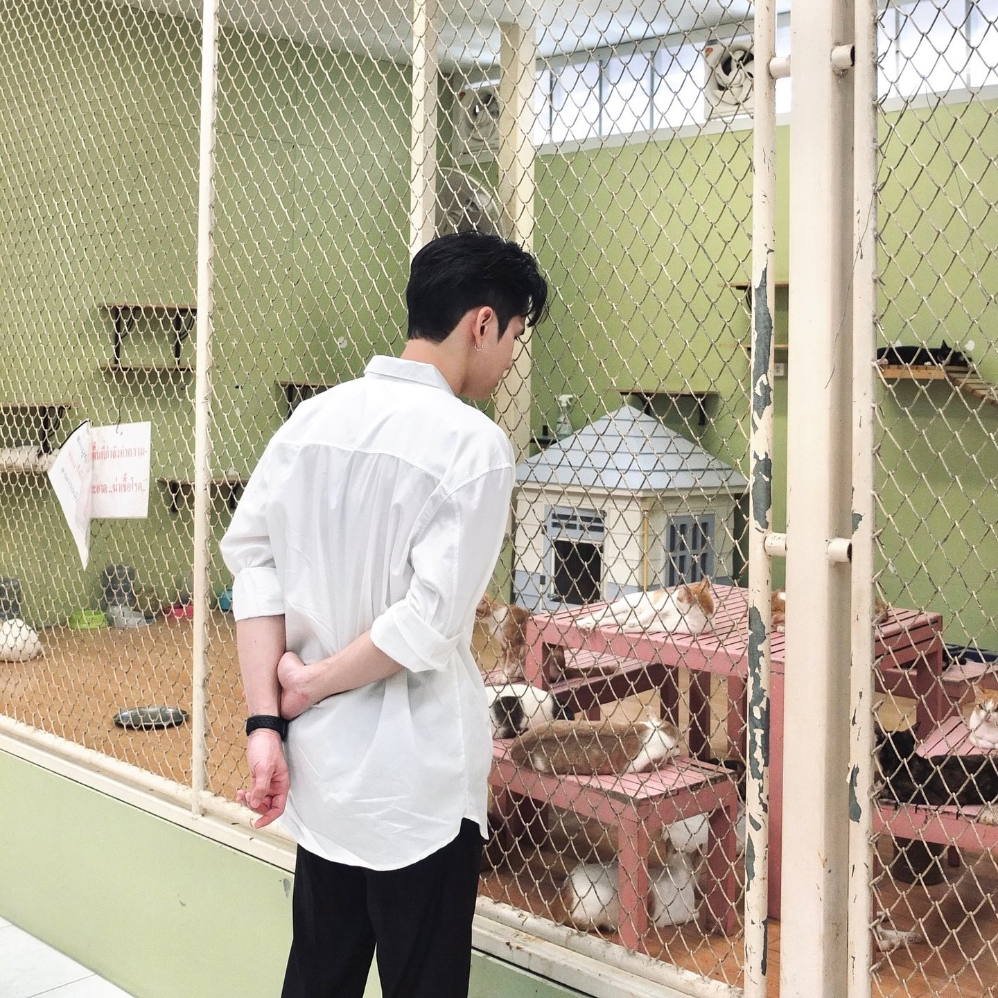 เฟียต - ภัชทา จันทร์เงิน