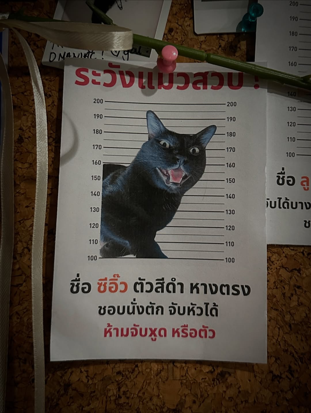 เฟียต - ภัชทา จันทร์เงิน