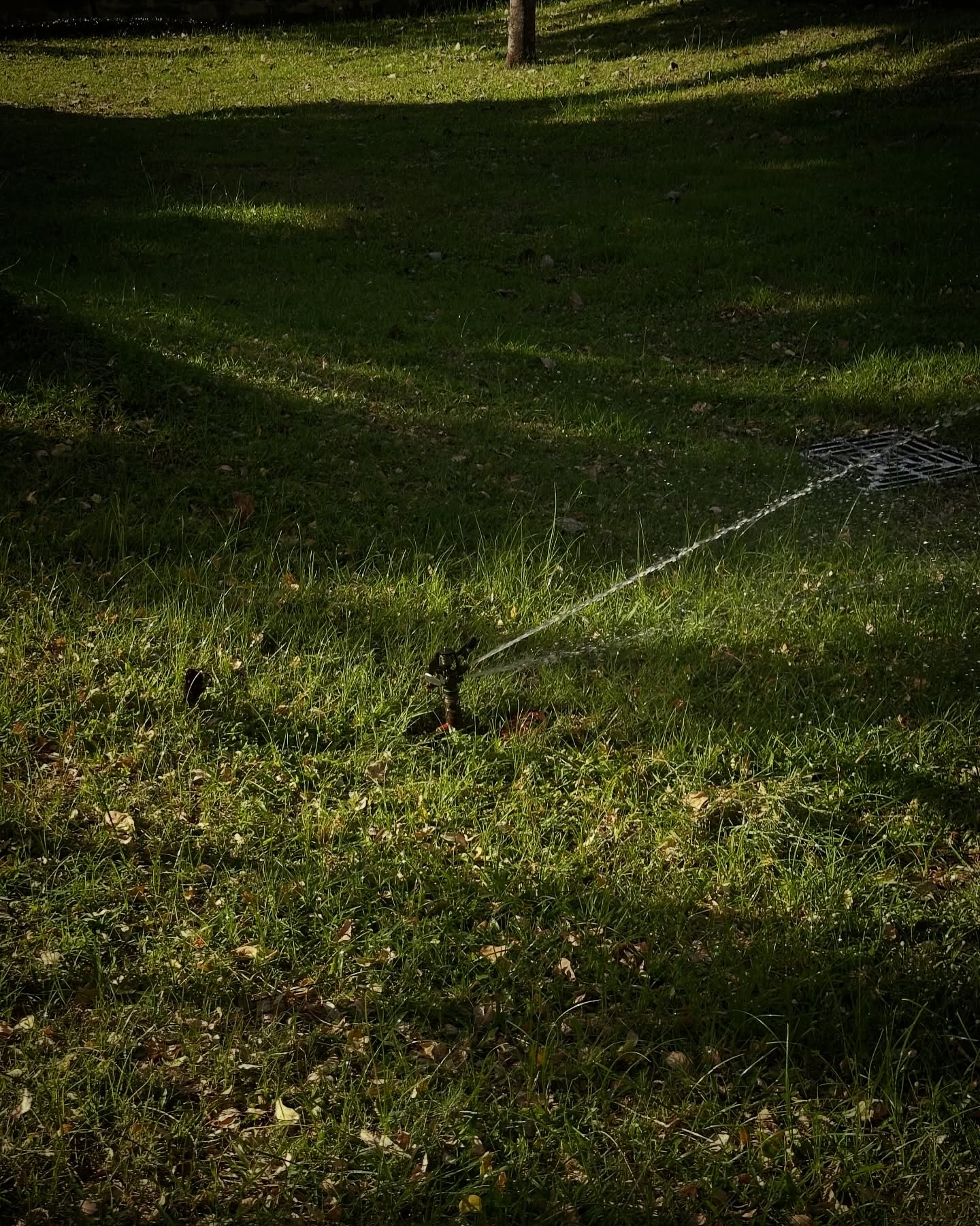 เฟียต - ภัชทา จันทร์เงิน