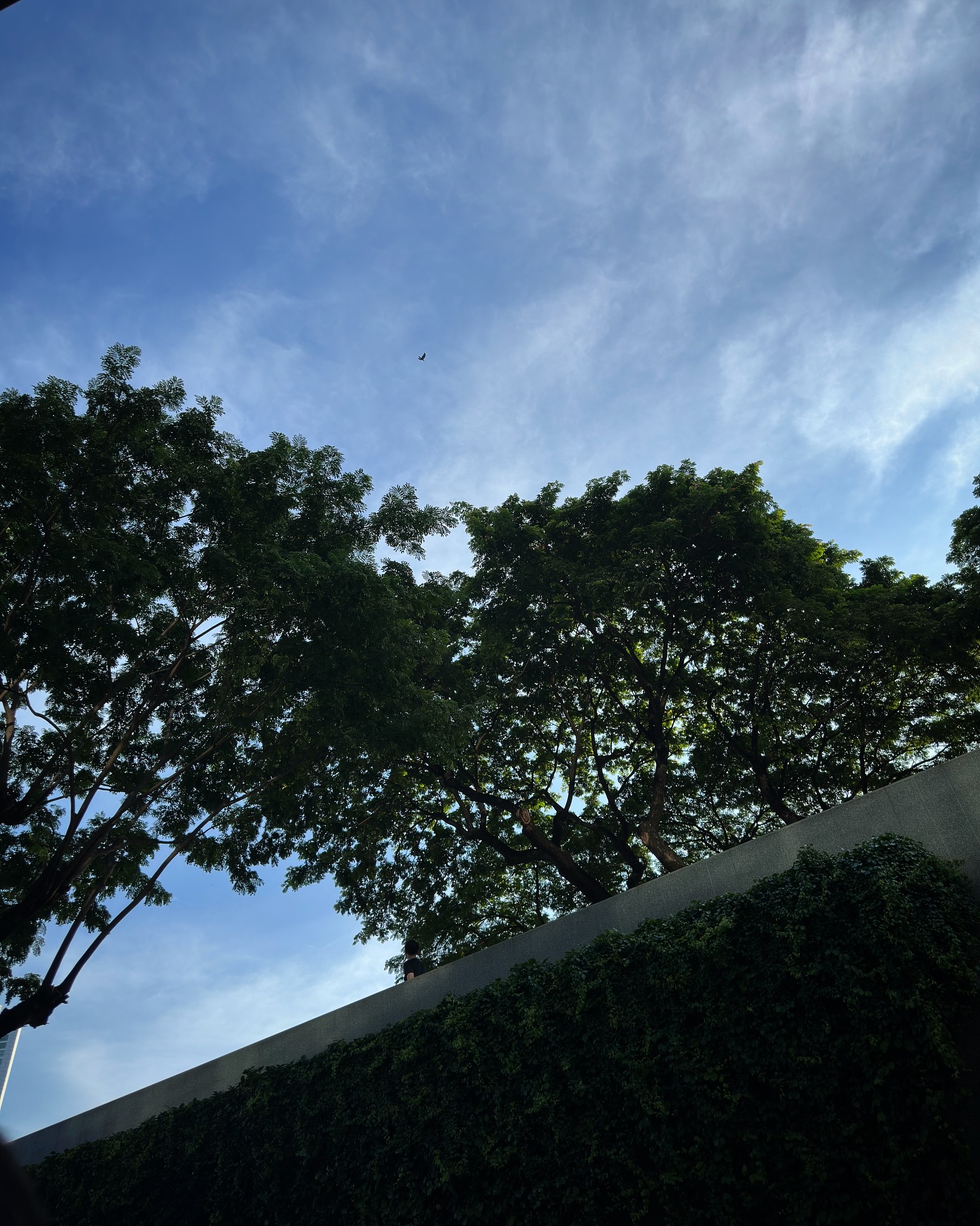 เฟียต - ภัชทา จันทร์เงิน