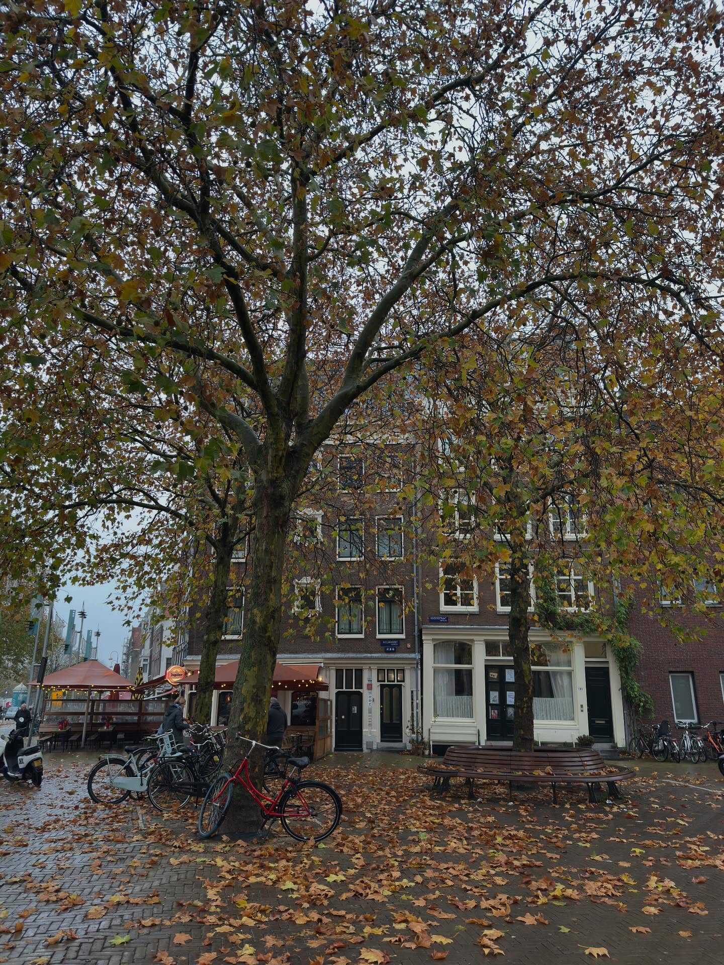 เฟียต - ภัชทา จันทร์เงิน