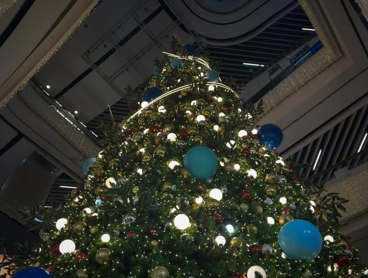 เฟียต - ภัชทา จันทร์เงิน