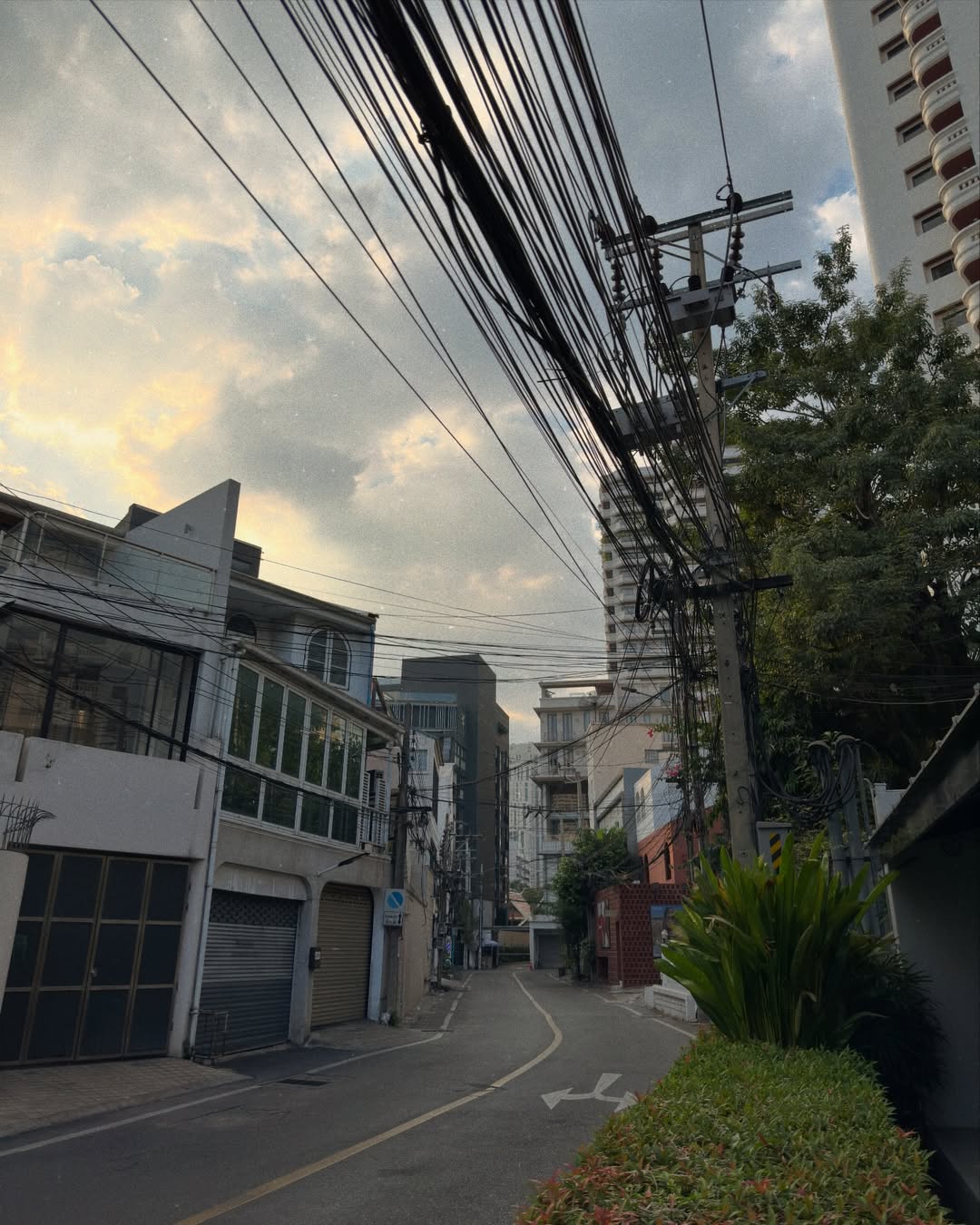 เฟียต - ภัชทา จันทร์เงิน