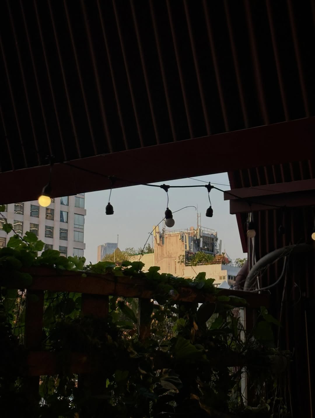 เฟียต - ภัชทา จันทร์เงิน