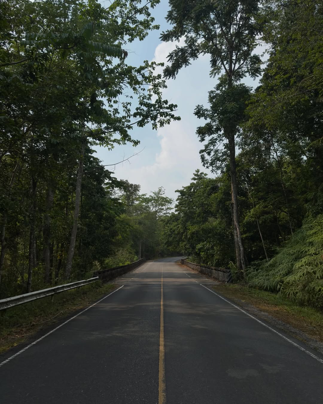 เฟียต - ภัชทา จันทร์เงิน