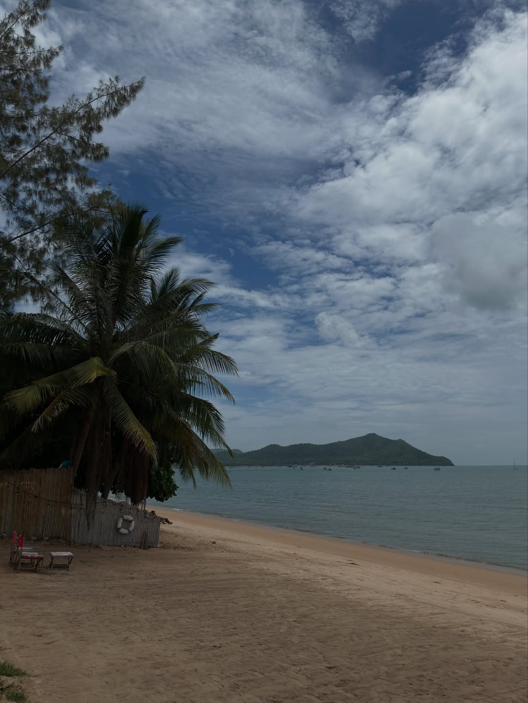 เฟียต - ภัชทา จันทร์เงิน