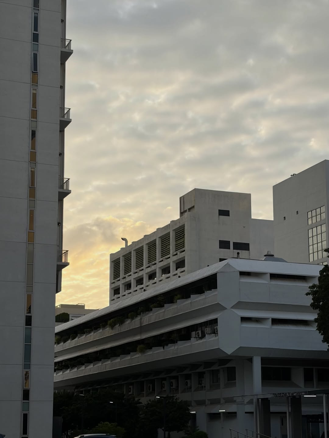 เฟียต - ภัชทา จันทร์เงิน