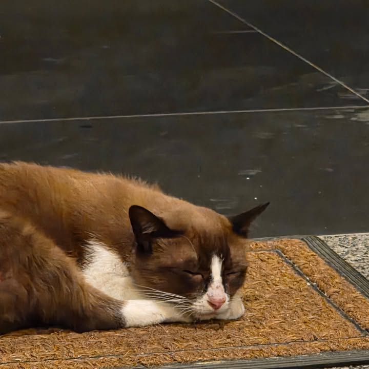 นานิ - หิรัญกฤษฎิ์ ช่างคำ