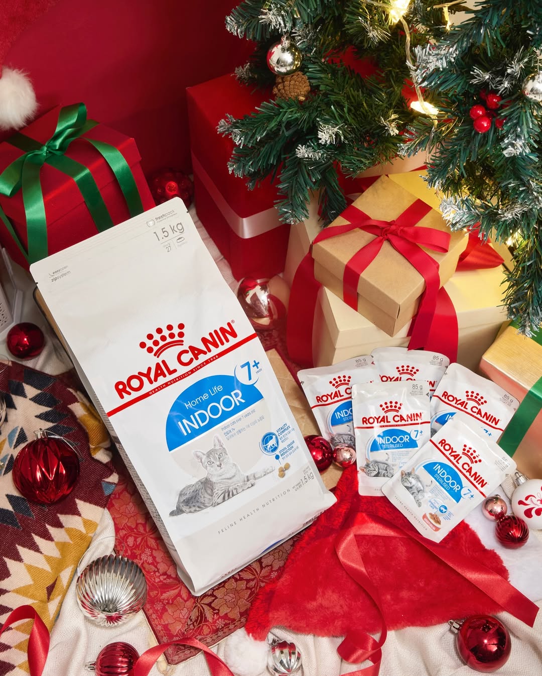 นานิ - หิรัญกฤษฎิ์ ช่างคำ