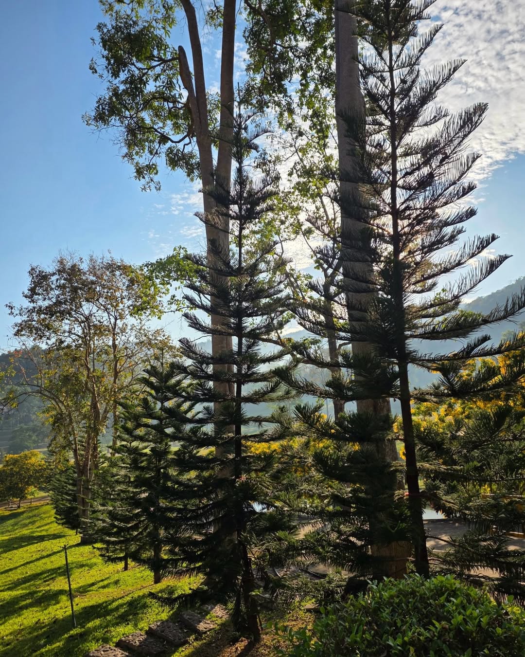 นานิ - หิรัญกฤษฎิ์ ช่างคำ