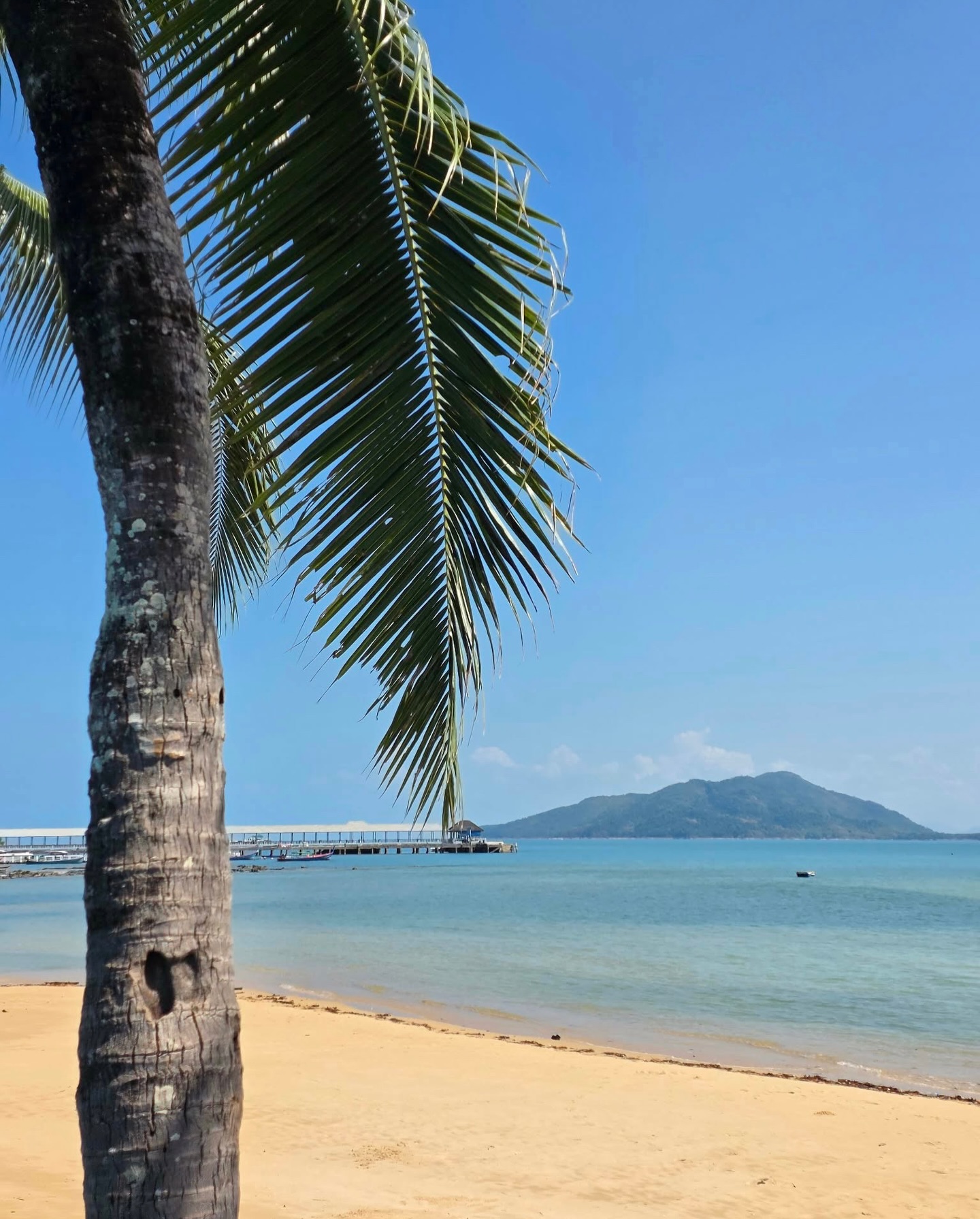 นานิ - หิรัญกฤษฎิ์ ช่างคำ