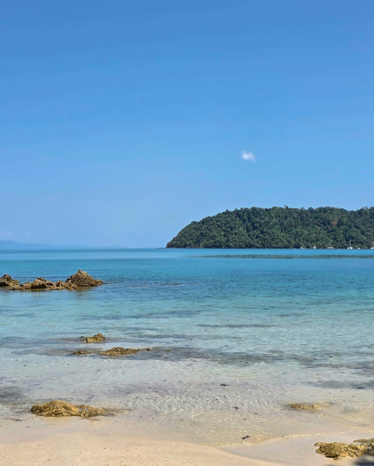 นานิ - หิรัญกฤษฎิ์ ช่างคำ