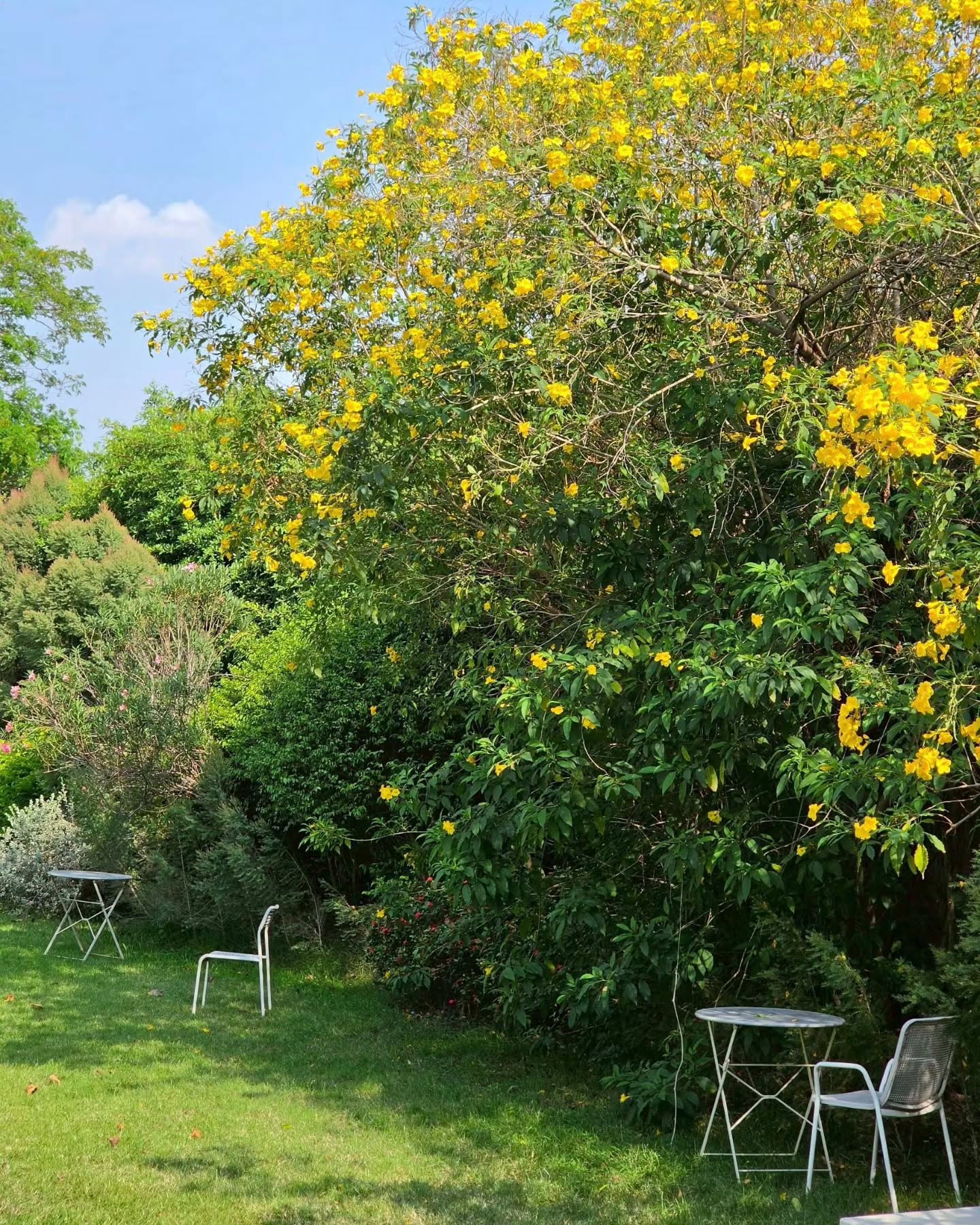 นานิ - หิรัญกฤษฎิ์ ช่างคำ