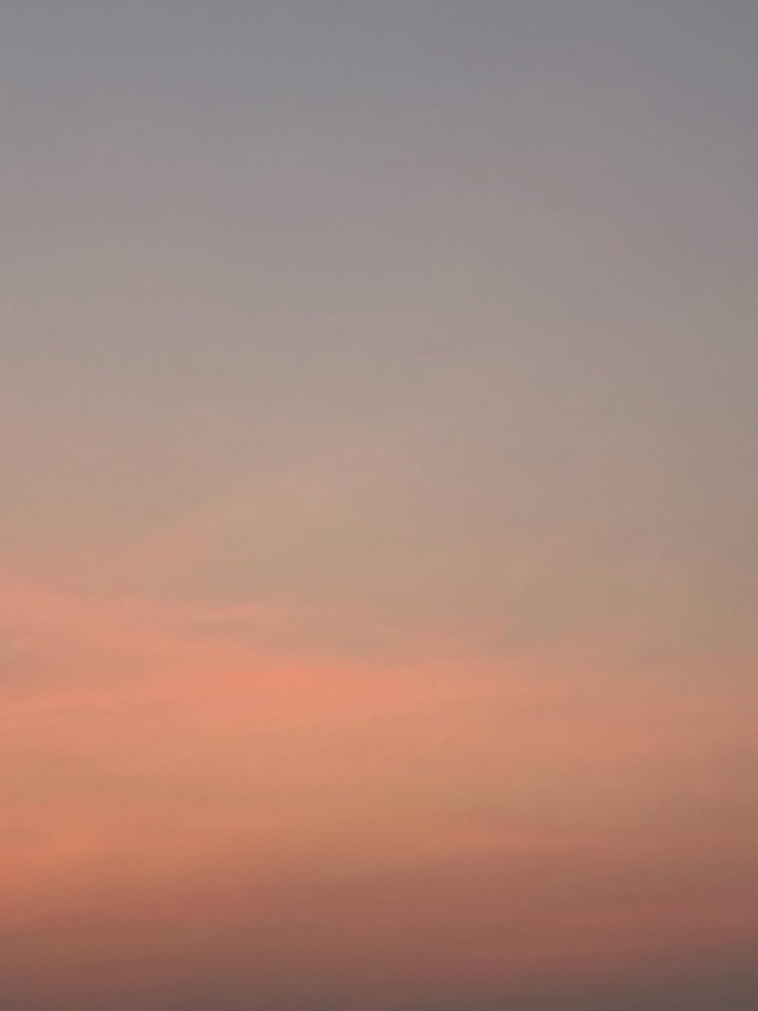 ตี่ตี๋ - วันพิชิต นิมิตภาคภูมิ