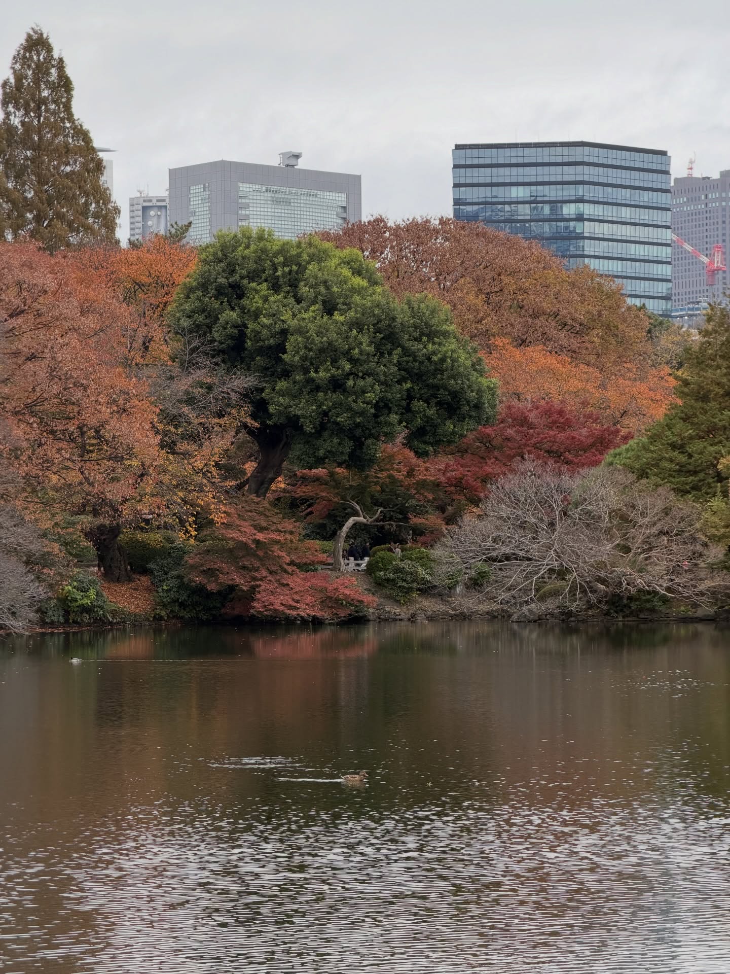เกรท - วรินทร ปัญหกาญจน์