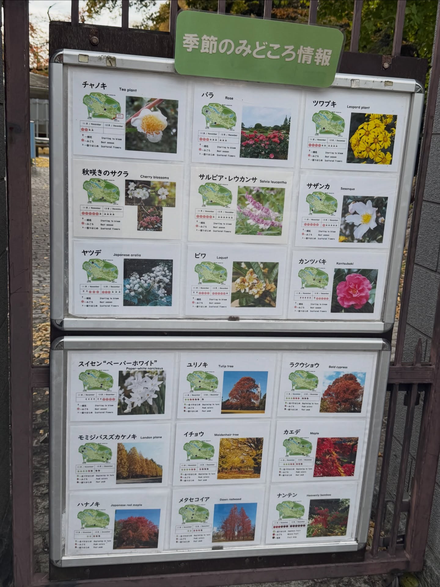 เกรท - วรินทร ปัญหกาญจน์