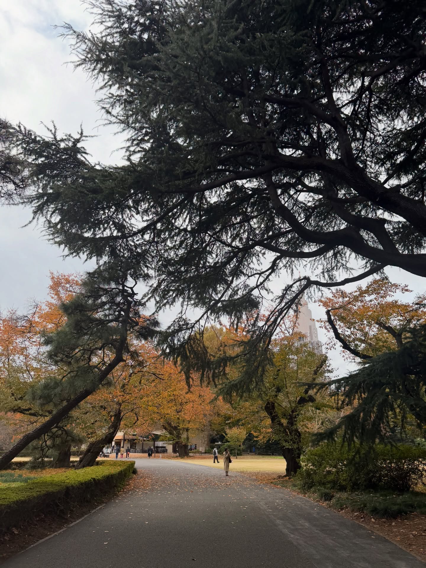 เกรท - วรินทร ปัญหกาญจน์