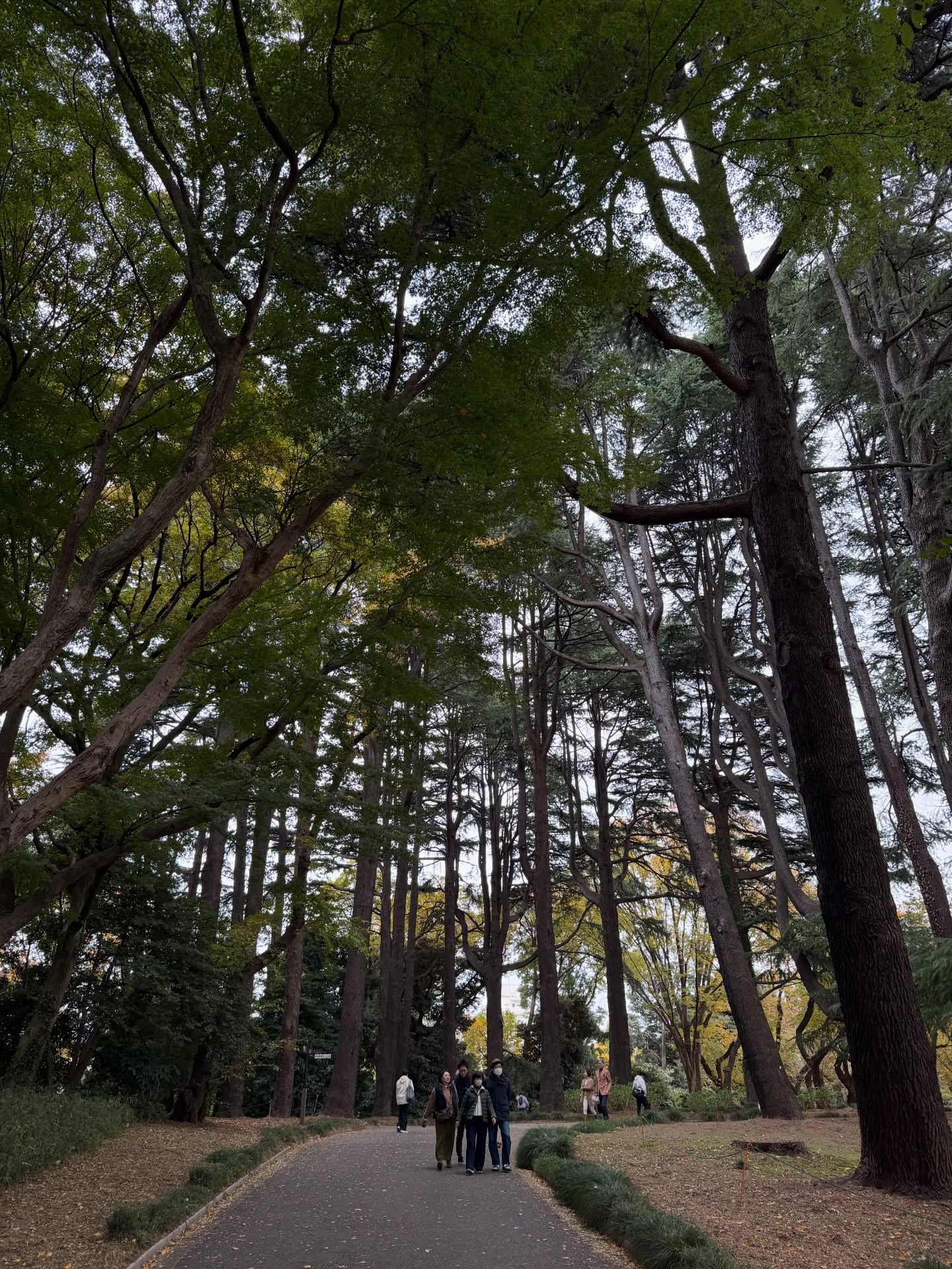 เกรท - วรินทร ปัญหกาญจน์