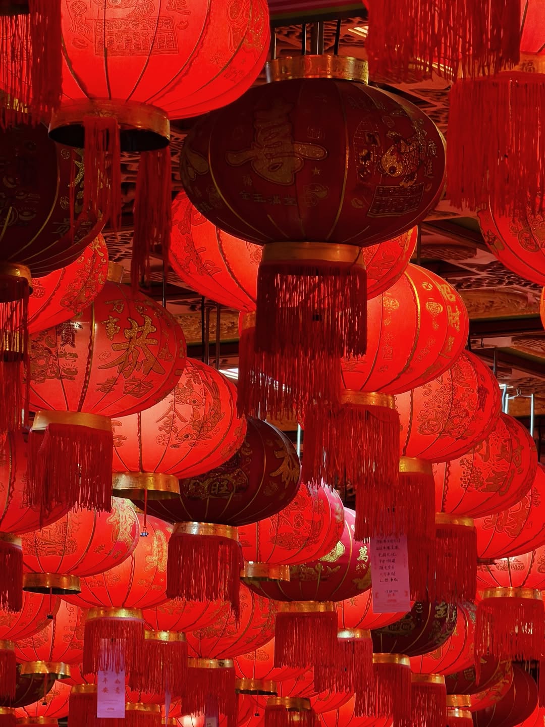 โอ๊ต - ปราโมทย์ ปาทาน