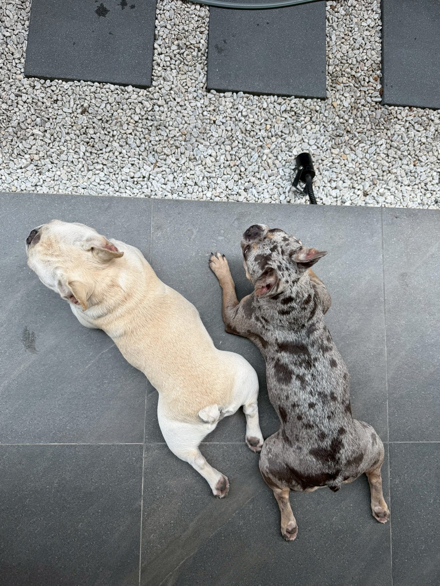 โอ๊ต - ปราโมทย์ ปาทาน