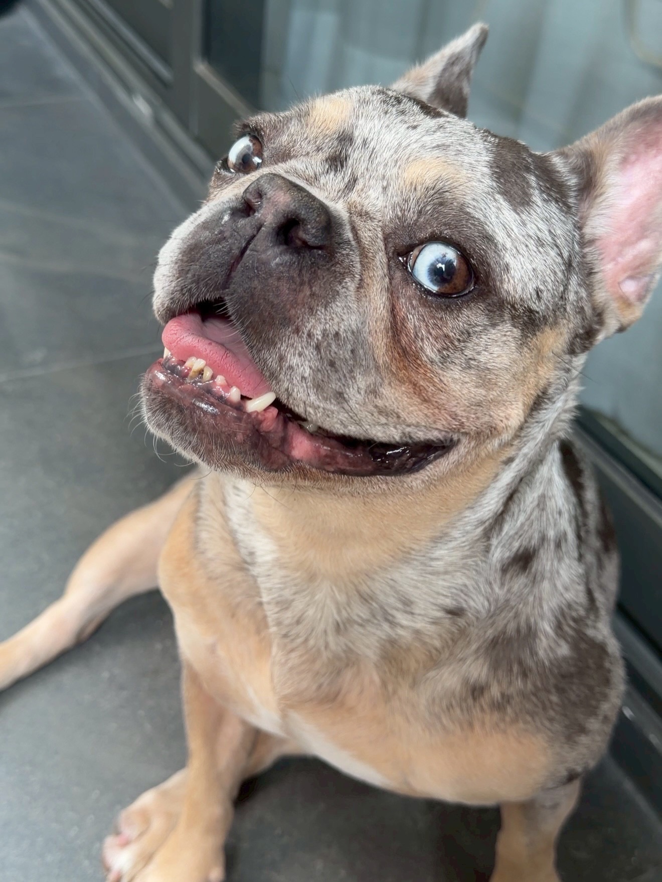 โอ๊ต - ปราโมทย์ ปาทาน