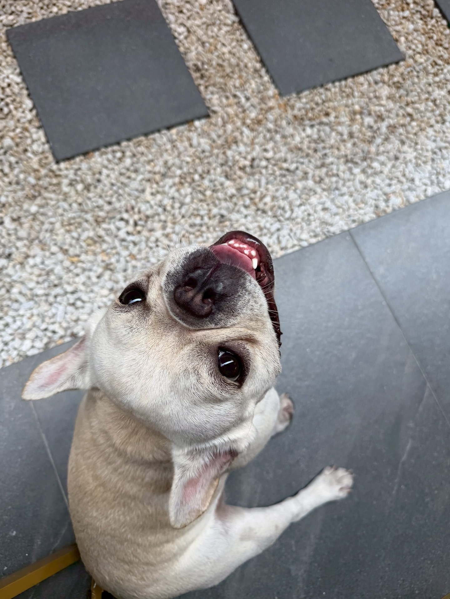 โอ๊ต - ปราโมทย์ ปาทาน