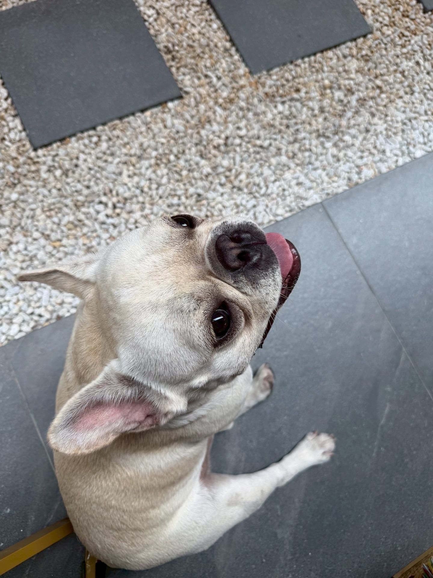 โอ๊ต - ปราโมทย์ ปาทาน