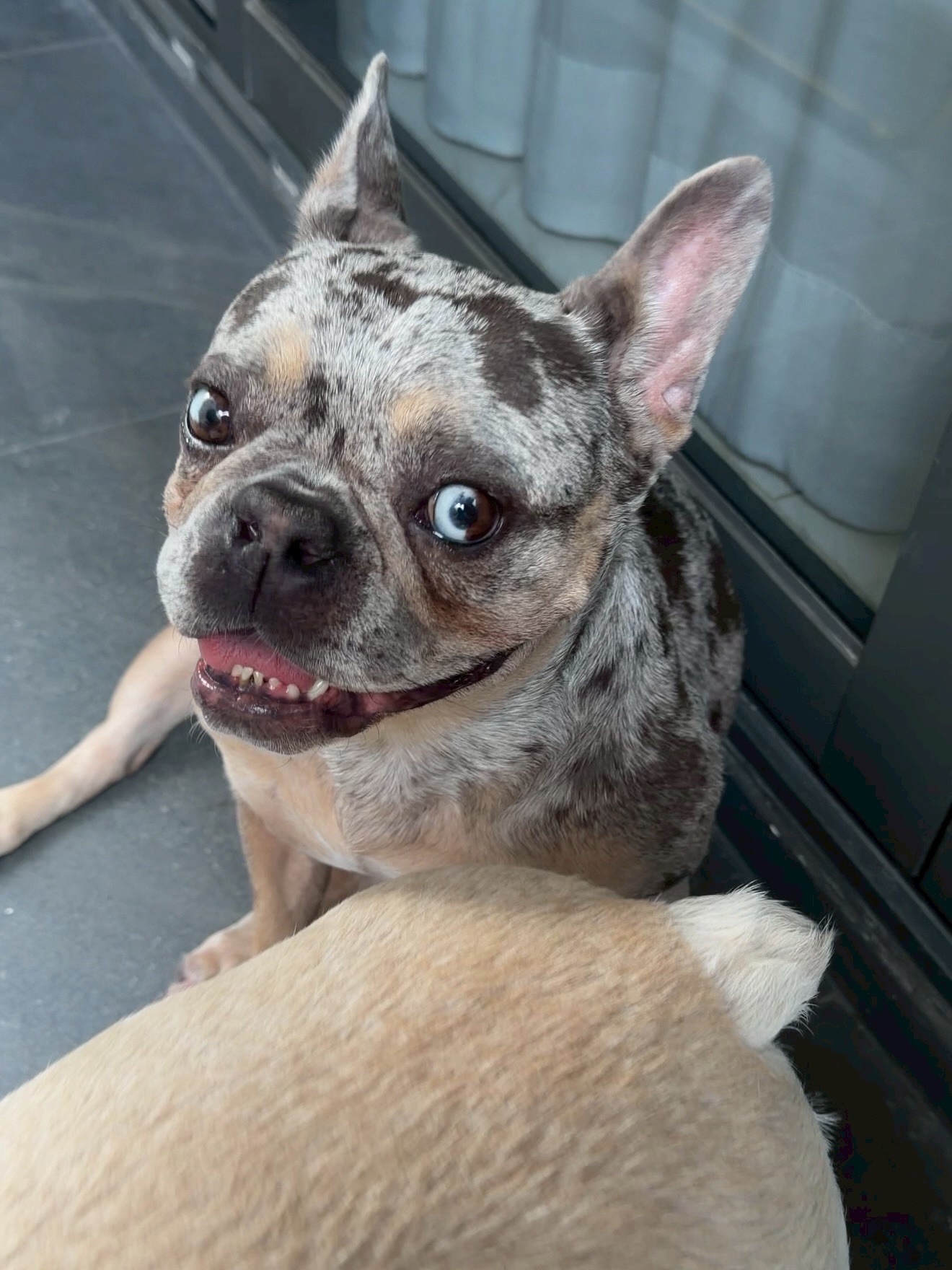 โอ๊ต - ปราโมทย์ ปาทาน