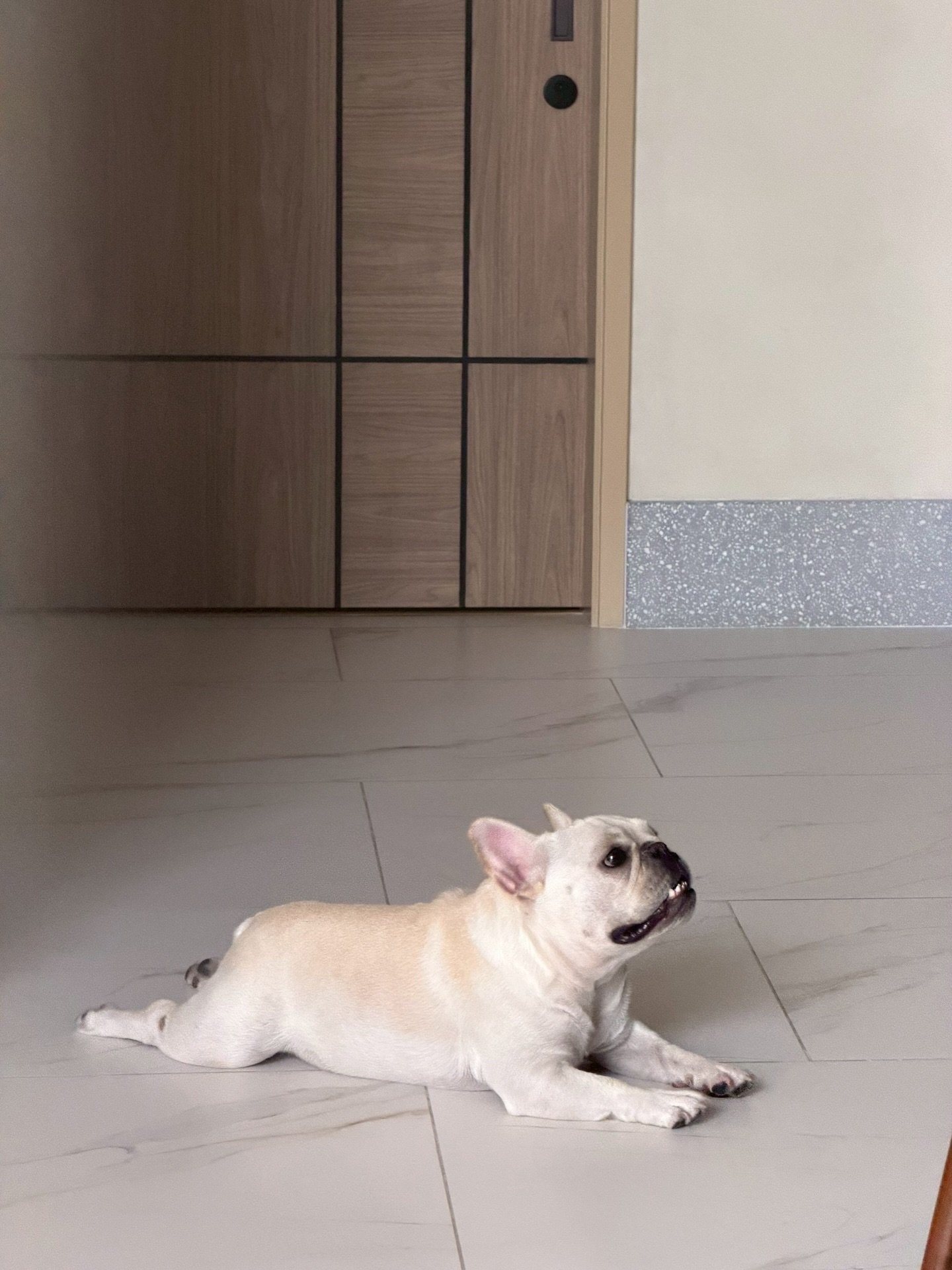 โอ๊ต - ปราโมทย์ ปาทาน