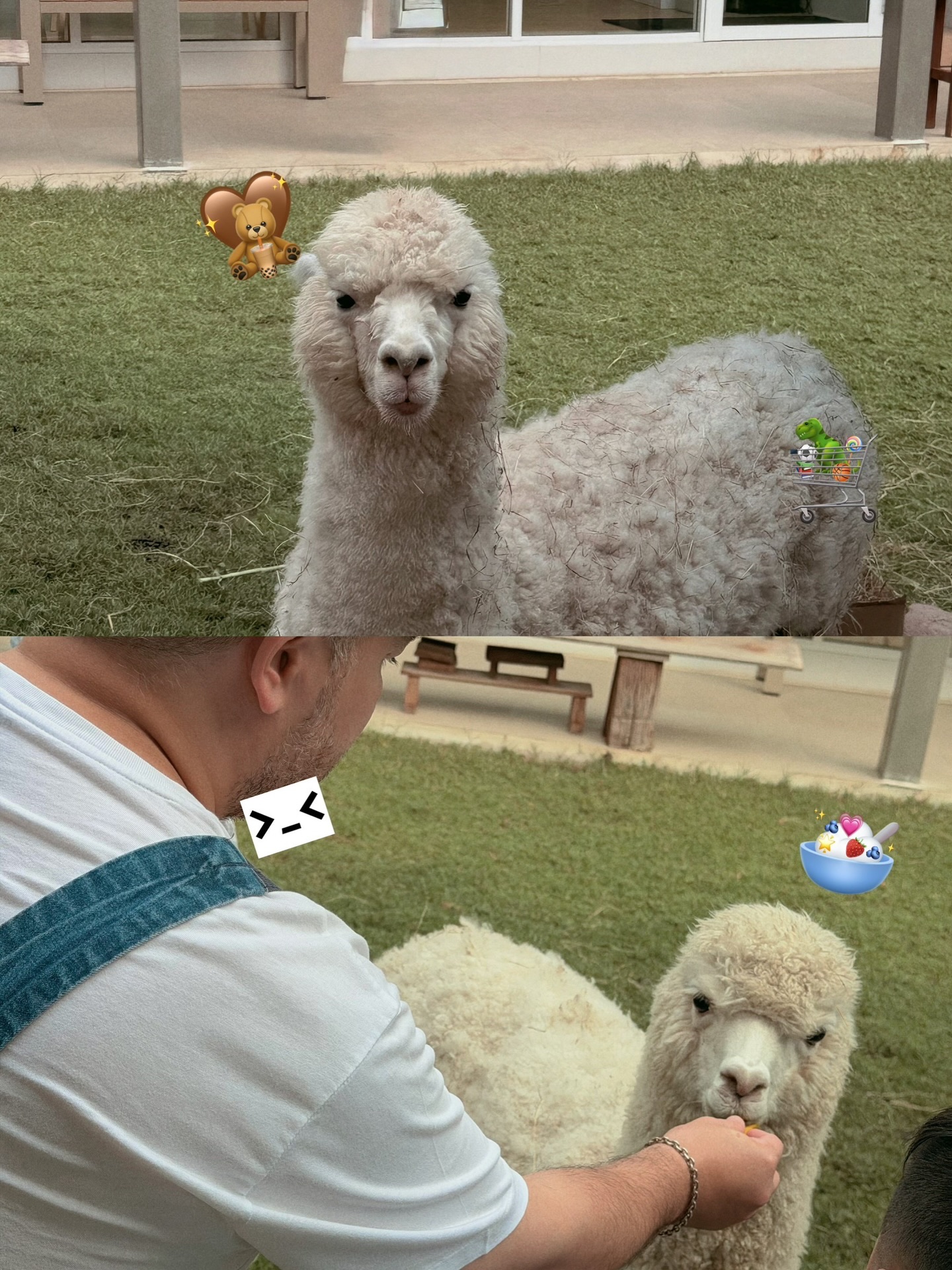 โอ๊ต - ปราโมทย์ ปาทาน