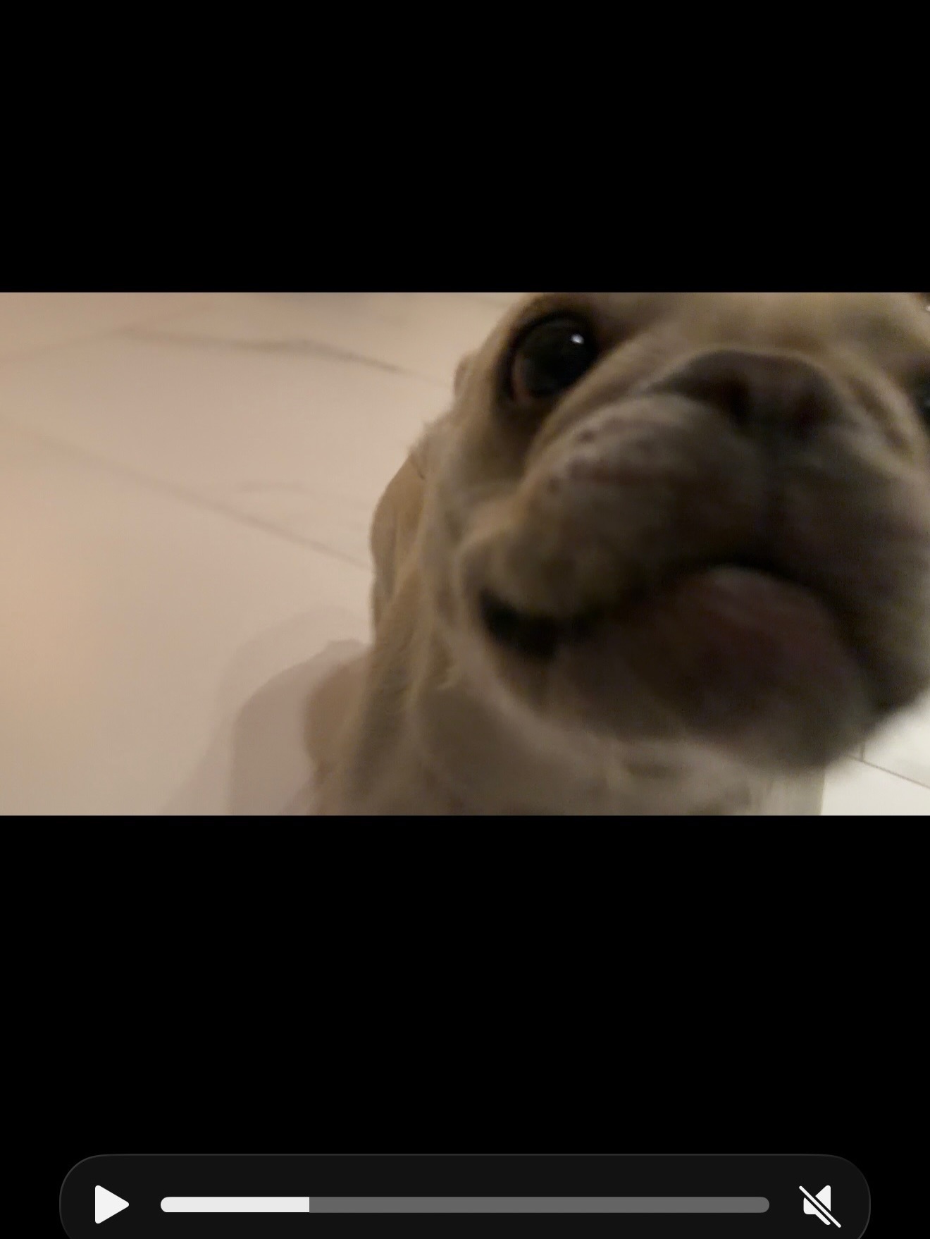 โอ๊ต - ปราโมทย์ ปาทาน