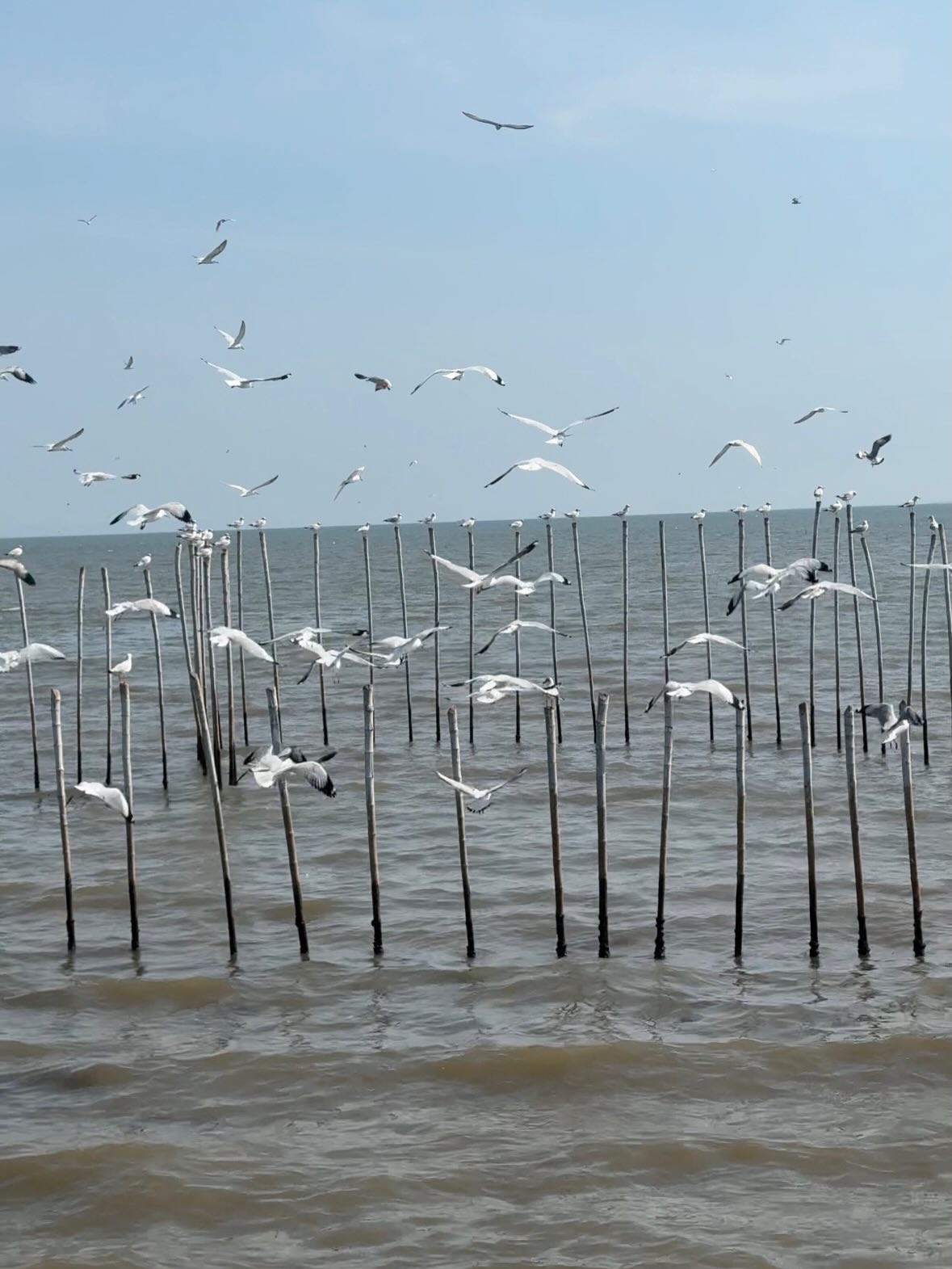 เบ - ณรัฐ สุมิตร