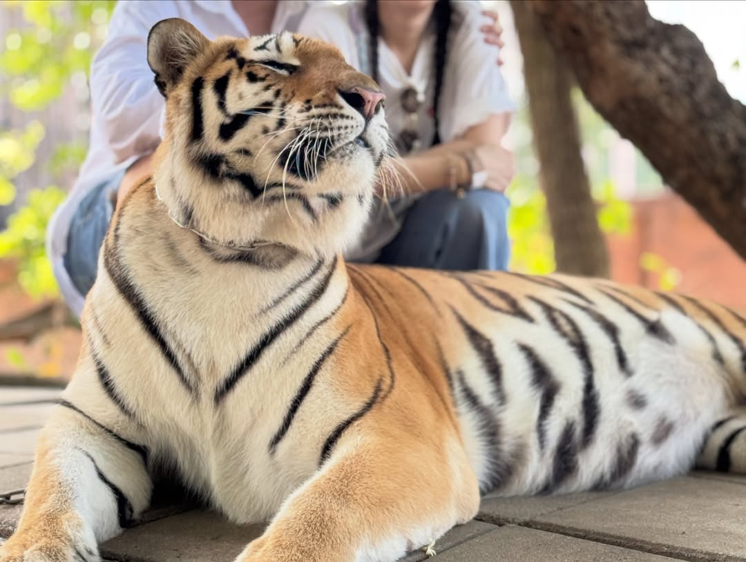 บีม - กวี ตันจรารักษ์