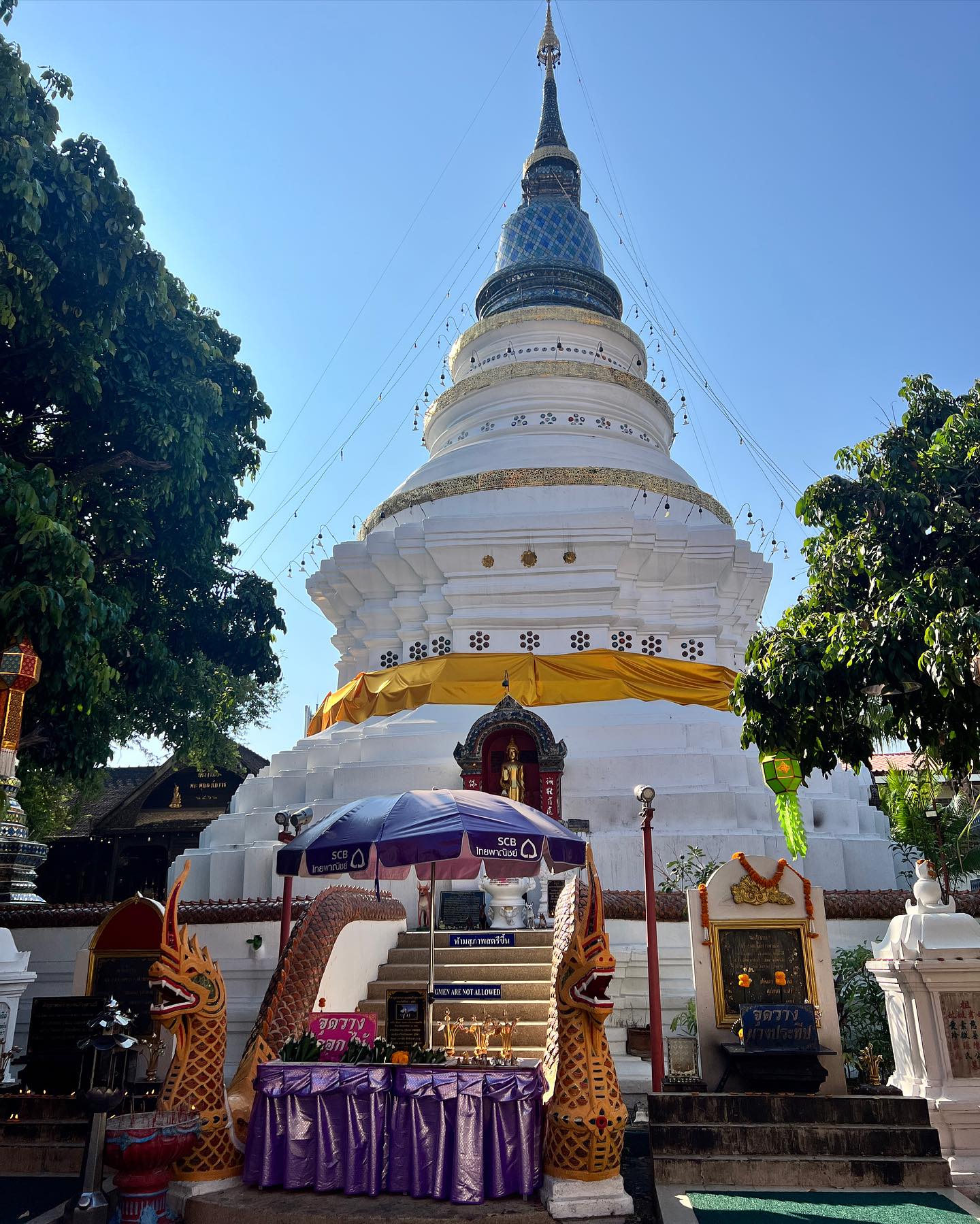 เนย - โชติกา วงศ์วิลาศ