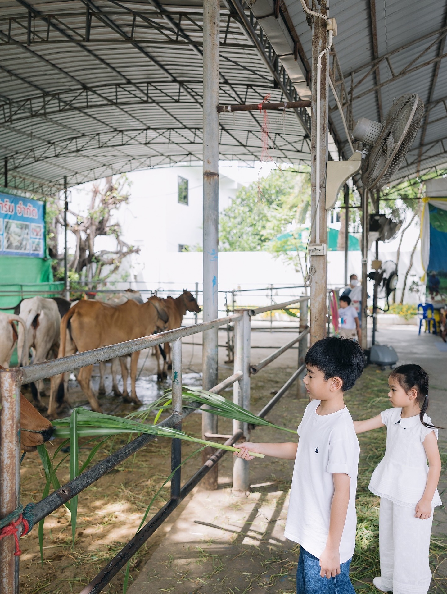 เนย - โชติกา วงศ์วิลาศ
