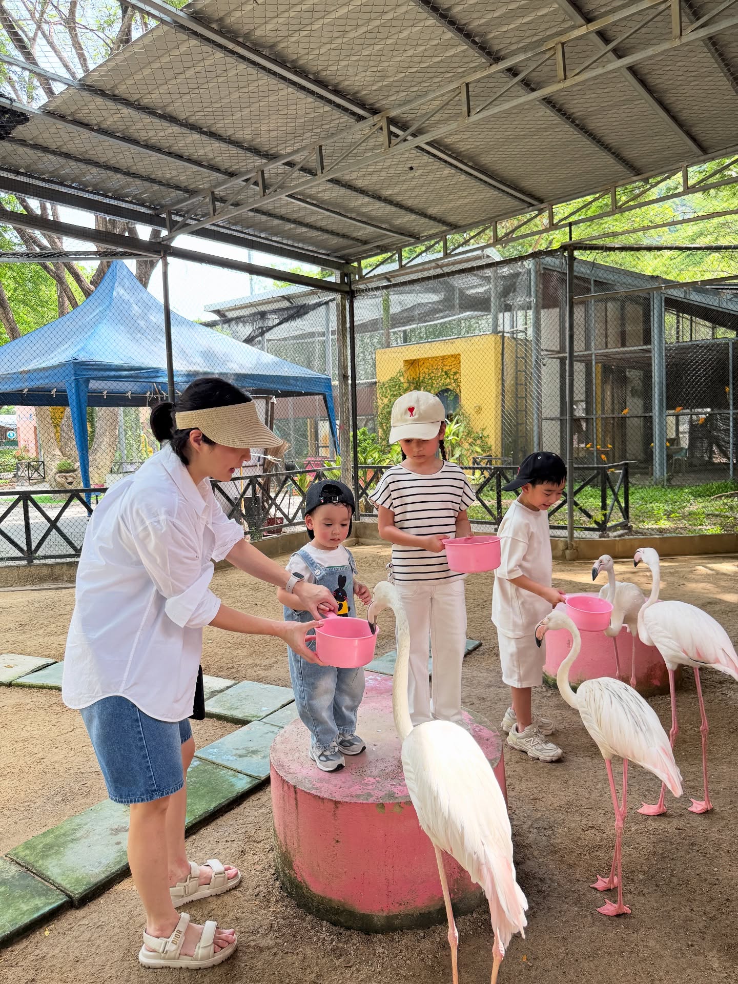 เนย - โชติกา วงศ์วิลาศ