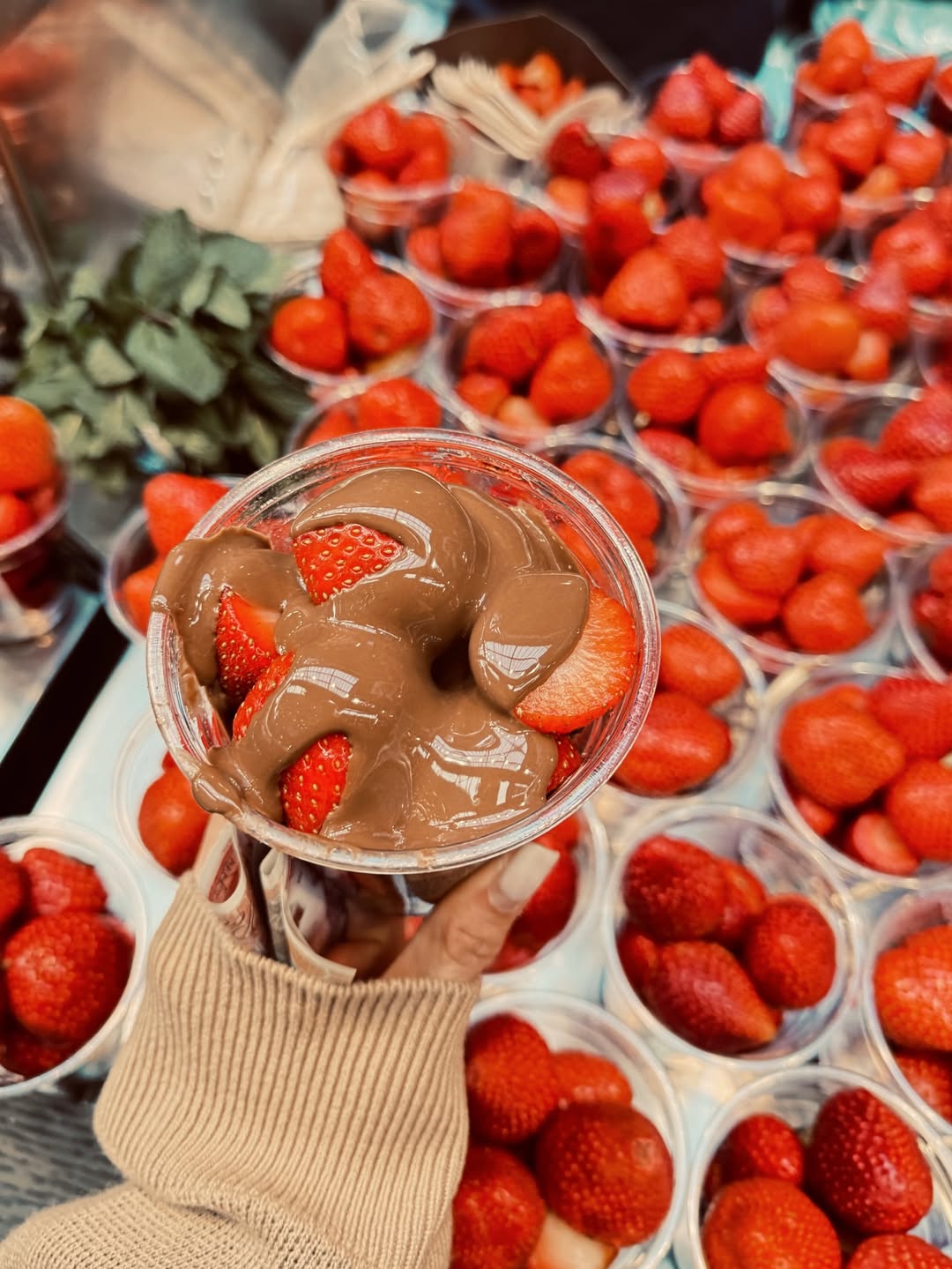 เนย - โชติกา วงศ์วิลาศ