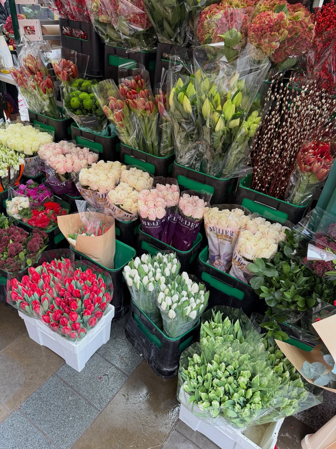 เนย - โชติกา วงศ์วิลาศ