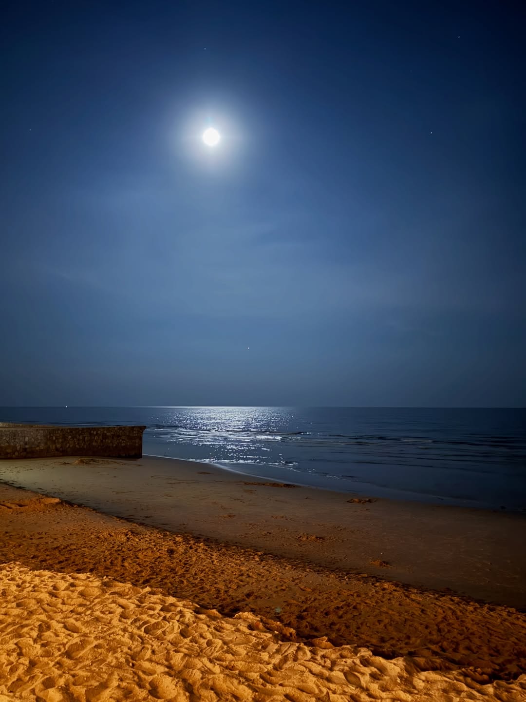 เนย - โชติกา วงศ์วิลาศ