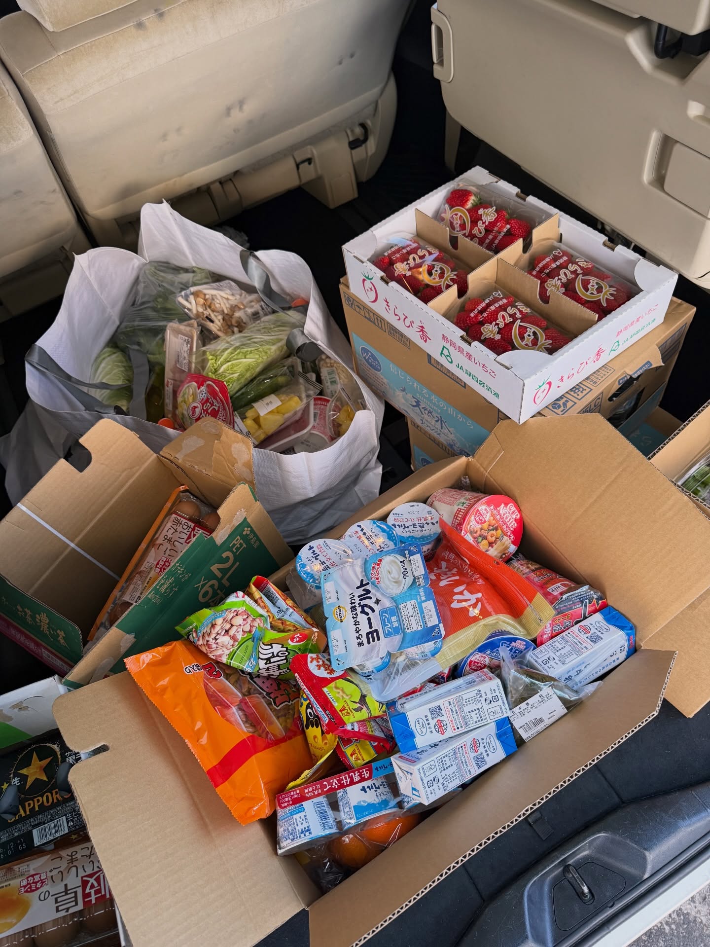 เนย - โชติกา วงศ์วิลาศ