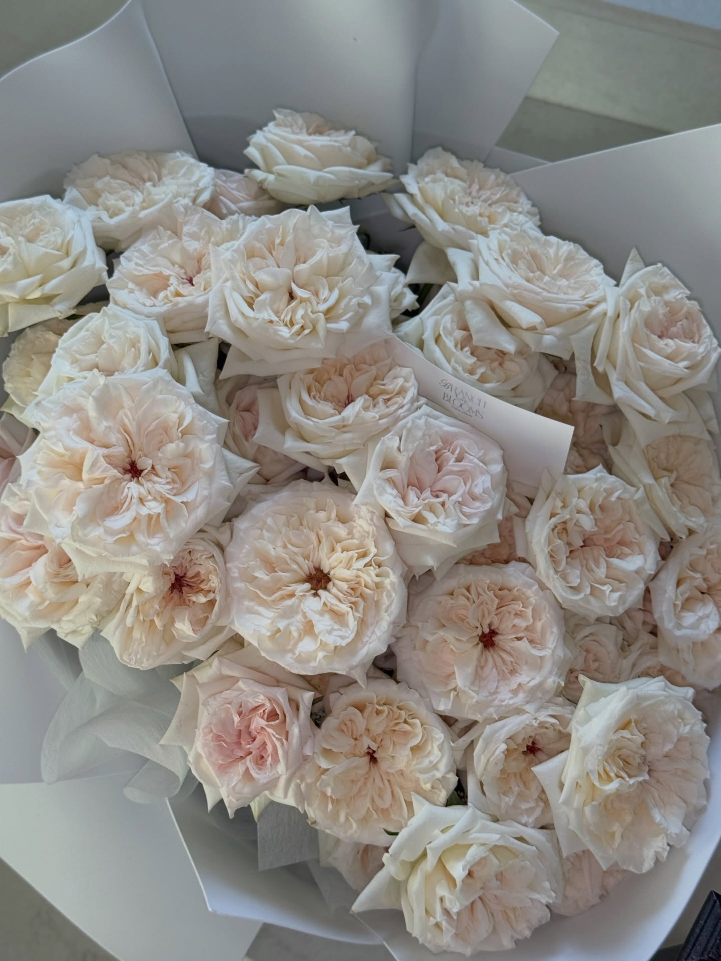 เนย - โชติกา วงศ์วิลาศ