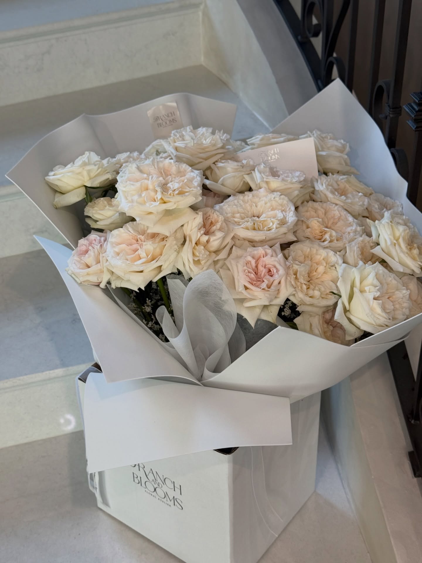 เนย - โชติกา วงศ์วิลาศ