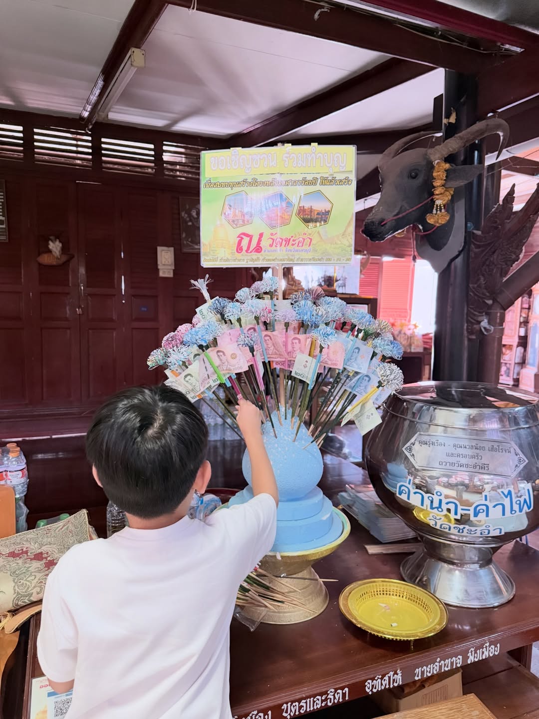 เนย - โชติกา วงศ์วิลาศ