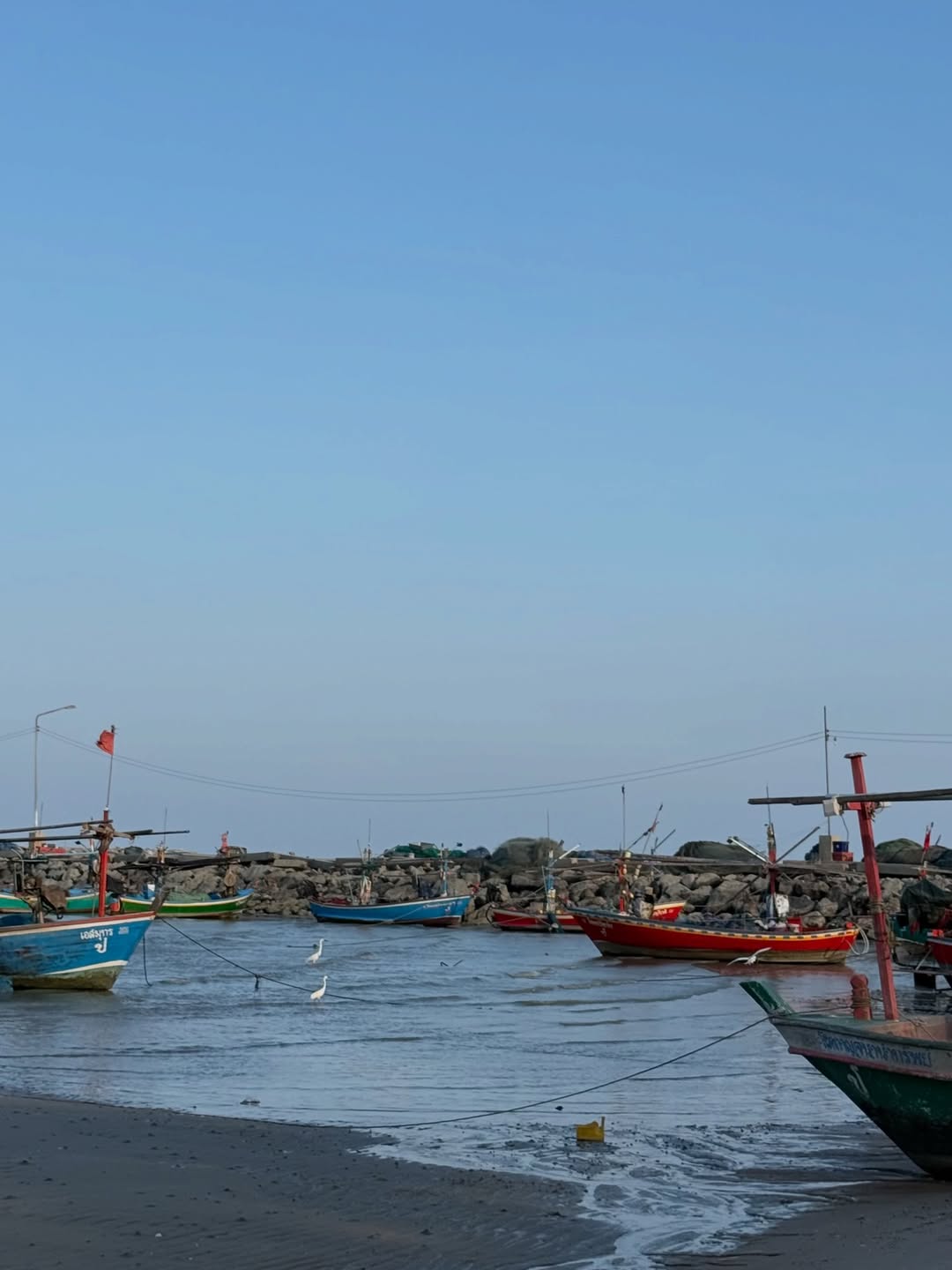 เนย - โชติกา วงศ์วิลาศ