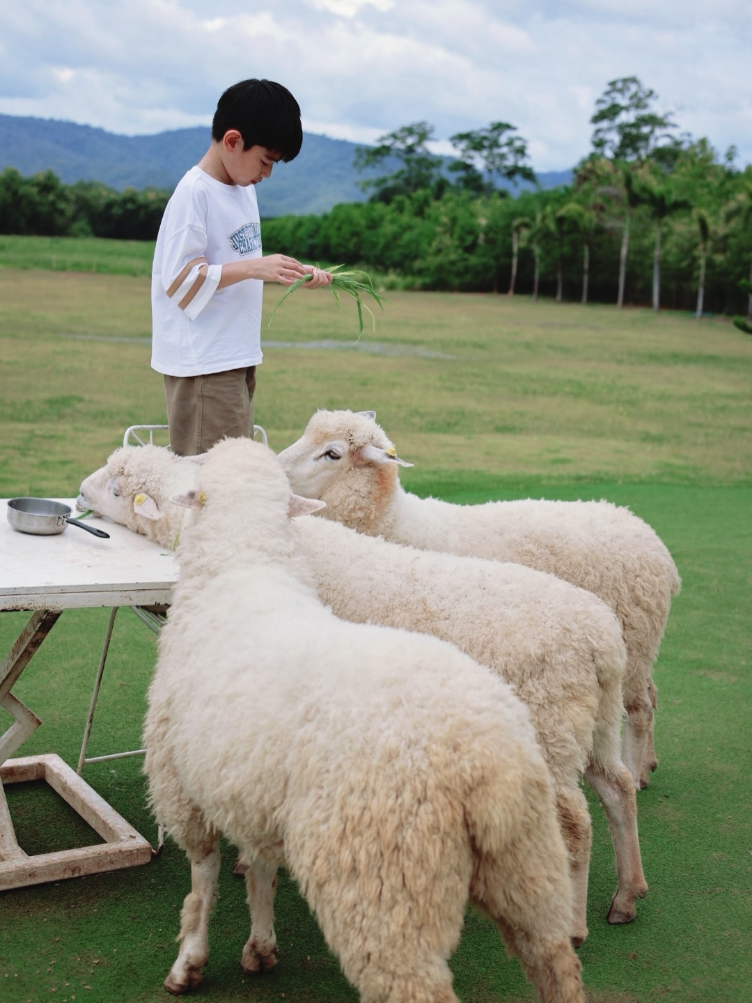เนย - โชติกา วงศ์วิลาศ