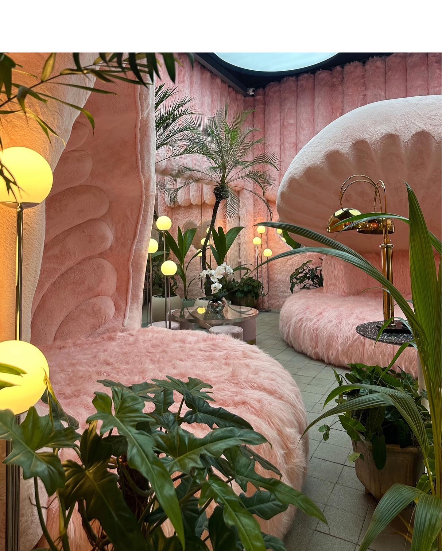 วุ้นเส้น - วิริฒิพา ภักดีประสงค์