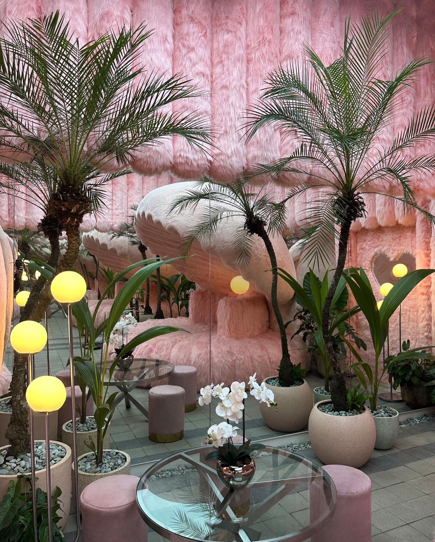 วุ้นเส้น - วิริฒิพา ภักดีประสงค์