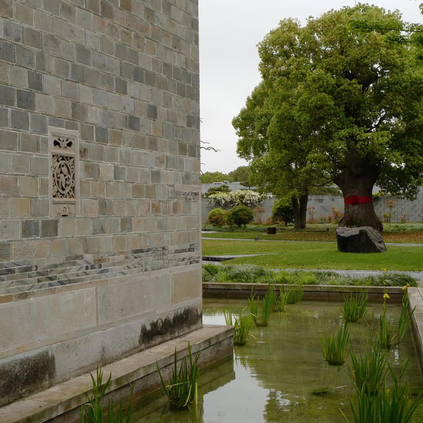 วุ้นเส้น - วิริฒิพา ภักดีประสงค์